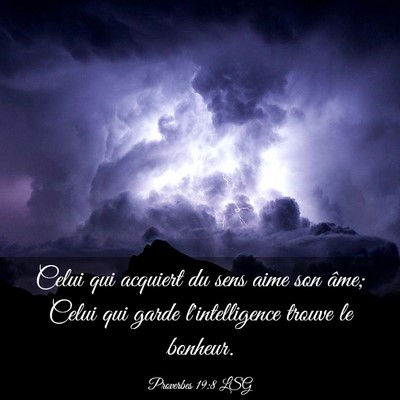 Picture 03 - Proverbes 19:8 LSG - Celui qui acquiert du sens aime son âme; Celui - Bible Verse Picture