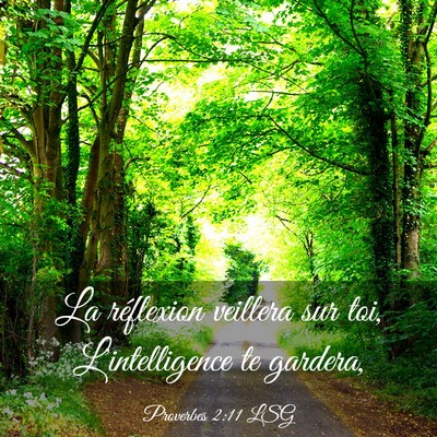 Picture 03 - Proverbes 2:11 LSG - La réflexion veillera sur toi, L'intelligence te - Bible Verse Picture