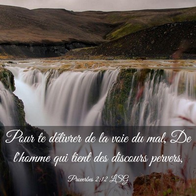 Picture 03 - Proverbes 2:12 LSG - Pour te délivrer de la voie du mal, De l'homme - Bible Verse Picture