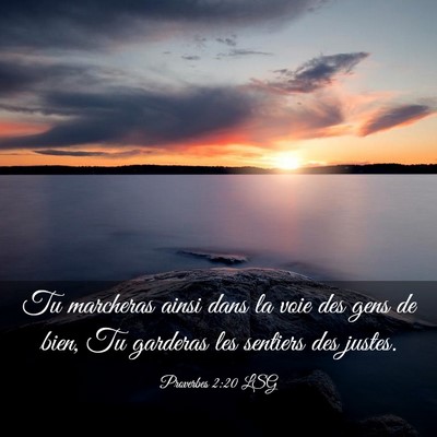 Picture 03 - Proverbes 2:20 LSG - Tu marcheras ainsi dans la voie des gens de bien, - Bible Verse Picture
