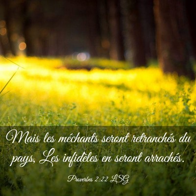 Picture 03 - Proverbes 2:22 LSG - Mais les méchants seront retranchés du pays, - Bible Verse Picture