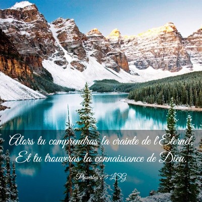 Picture 03 - Proverbes 2:5 LSG - Alors tu comprendras la crainte de l'Eternel, Et - Bible Verse Picture
