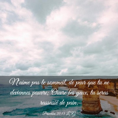 Picture 03 - Proverbes 20:13 LSG - N'aime pas le sommeil, de peur que tu ne - Bible Verse Picture