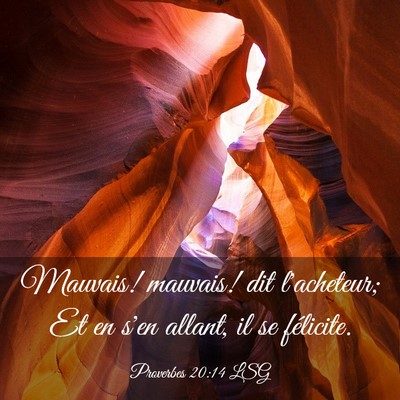 Picture 03 - Proverbes 20:14 LSG - Mauvais! mauvais! dit l'acheteur; Et en s'en - Bible Verse Picture
