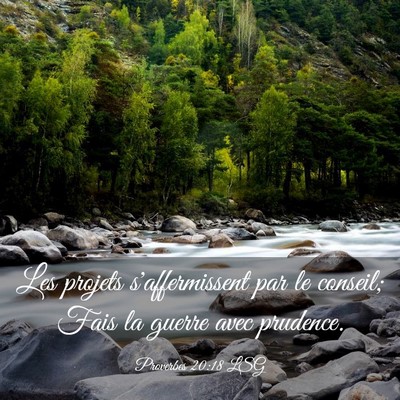 Picture 03 - Proverbes 20:18 LSG - Les projets s'affermissent par le conseil; Fais - Bible Verse Picture