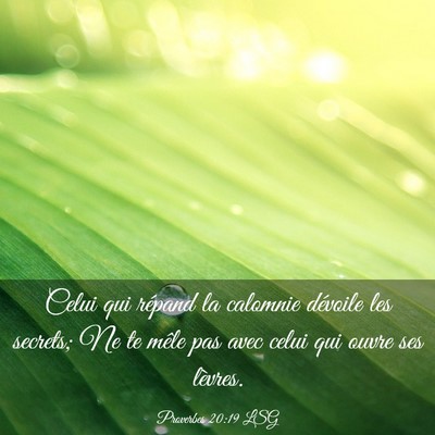 Picture 03 - Proverbes 20:19 LSG - Celui qui répand la calomnie dévoile les - Bible Verse Picture