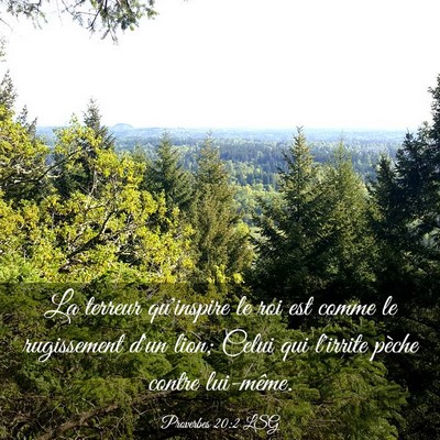 Picture 03 - Proverbes 20:2 LSG - La terreur qu'inspire le roi est comme le - Bible Verse Picture
