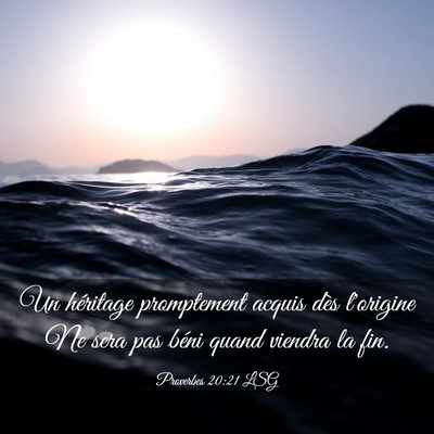 Picture 03 - Proverbes 20:21 LSG - Un héritage promptement acquis dès l'origine Ne - Bible Verse Picture