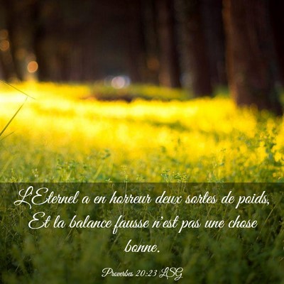 Picture 03 - Proverbes 20:23 LSG - L'Eternel a en horreur deux sortes de poids, Et - Bible Verse Picture