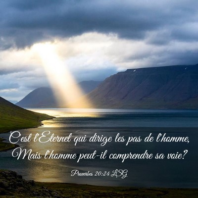 Picture 03 - Proverbes 20:24 LSG - C'est l'Eternel qui dirige les pas de l'homme, - Bible Verse Picture