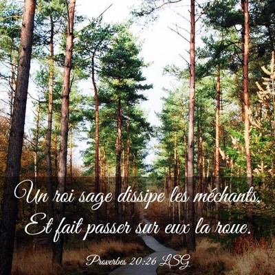 Picture 03 - Proverbes 20:26 LSG - Un roi sage dissipe les méchants, Et fait passer - Bible Verse Picture