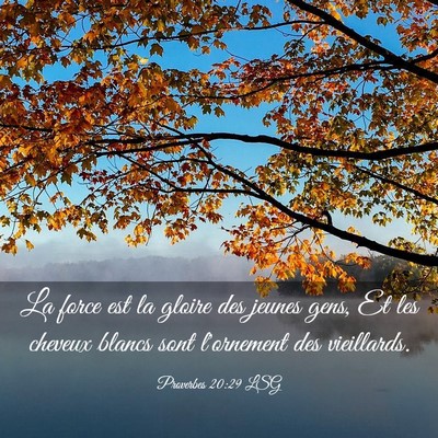 Picture 03 - Proverbes 20:29 LSG - La force est la gloire des jeunes gens, Et les - Bible Verse Picture