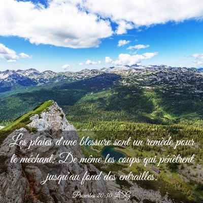 Picture 03 - Proverbes 20:30 LSG - Les plaies d'une blessure sont un remède pour le - Bible Verse Picture
