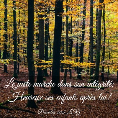 Picture 03 - Proverbes 20:7 LSG - Le juste marche dans son intégrité; Heureux ses - Bible Verse Picture