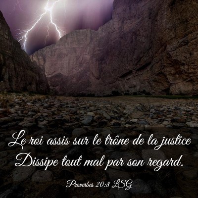 Picture 03 - Proverbes 20:8 LSG - Le roi assis sur le trône de la justice Dissipe - Bible Verse Picture