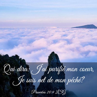Picture 03 - Proverbes 20:9 LSG - Qui dira: J'ai purifié mon coeur, Je suis net de - Bible Verse Picture