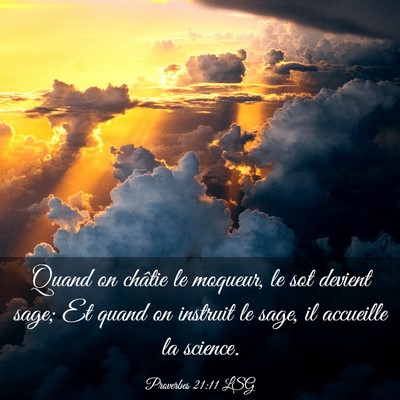 Picture 03 - Proverbes 21:11 LSG - Quand on châtie le moqueur, le sot devient sage; - Bible Verse Picture