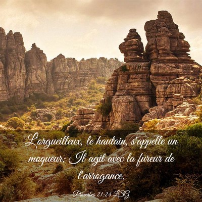 Picture 03 - Proverbes 21:24 LSG - L'orgueilleux, le hautain, s'appelle un moqueur; - Bible Verse Picture