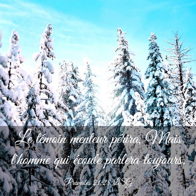 Picture 03 - Proverbes 21:28 LSG - Le témoin menteur périra, Mais l'homme qui - Bible Verse Picture