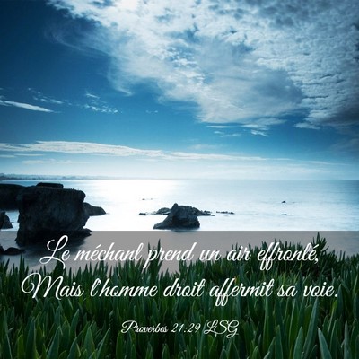 Picture 03 - Proverbes 21:29 LSG - Le méchant prend un air effronté, Mais l'homme - Bible Verse Picture