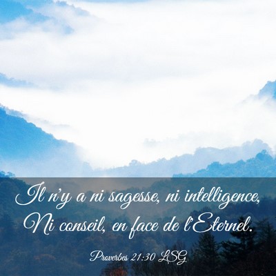 Picture 03 - Proverbes 21:30 LSG - Il n'y a ni sagesse, ni intelligence, Ni conseil, - Bible Verse Picture