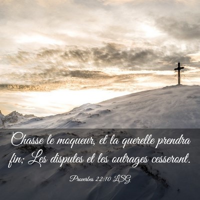 Picture 03 - Proverbes 22:10 LSG - Chasse le moqueur, et la querelle prendra fin; - Bible Verse Picture