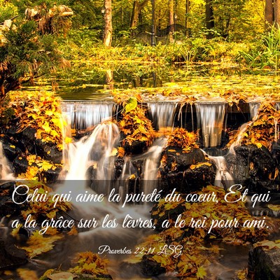Picture 03 - Proverbes 22:11 LSG - Celui qui aime la pureté du coeur, Et qui a la - Bible Verse Picture