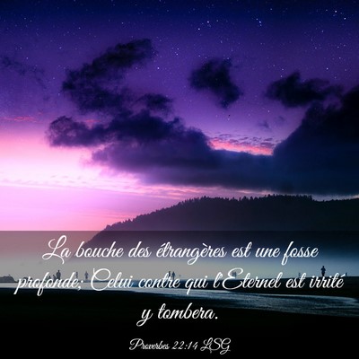 Picture 03 - Proverbes 22:14 LSG - La bouche des étrangères est une fosse - Bible Verse Picture