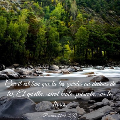 Picture 03 - Proverbes 22:18 LSG - Car il est bon que tu les gardes au dedans de - Bible Verse Picture
