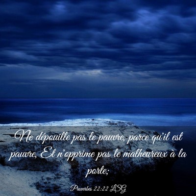 Picture 03 - Proverbes 22:22 LSG - Ne dépouille pas le pauvre, parce qu'il est - Bible Verse Picture