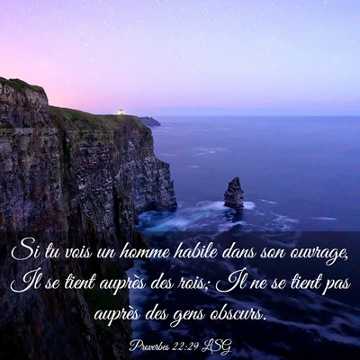 Picture 03 - Proverbes 22:29 LSG - Si tu vois un homme habile dans son ouvrage, Il - Bible Verse Picture