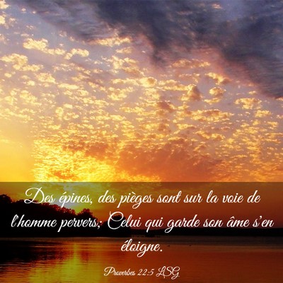 Picture 03 - Proverbes 22:5 LSG - Des épines, des pièges sont sur la voie de - Bible Verse Picture