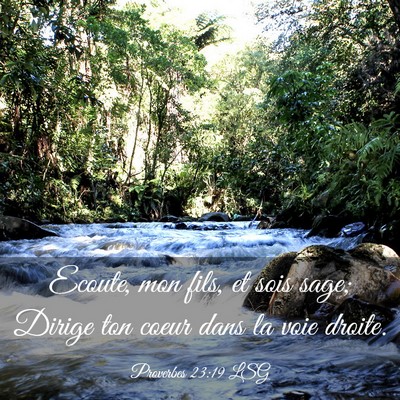 Picture 03 - Proverbes 23:19 LSG - Ecoute, mon fils, et sois sage; Dirige ton coeur - Bible Verse Picture