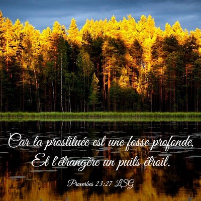 Picture 03 - Proverbes 23:27 LSG - Car la prostituée est une fosse profonde, Et - Bible Verse Picture