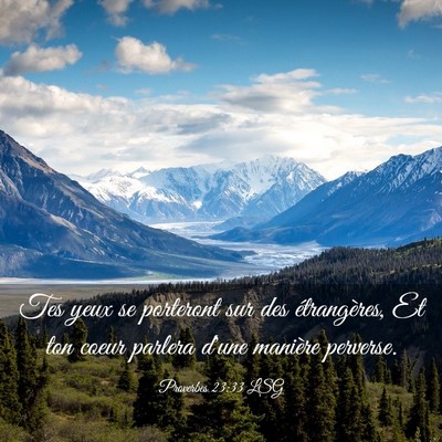 Picture 03 - Proverbes 23:33 LSG - Tes yeux se porteront sur des étrangères, Et - Bible Verse Picture