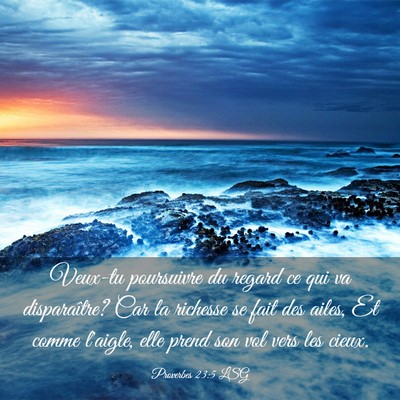 Picture 03 - Proverbes 23:5 LSG - Veux-tu poursuivre du regard ce qui va - Bible Verse Picture