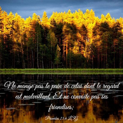 Picture 03 - Proverbes 23:6 LSG - Ne mange pas le pain de celui dont le regard est - Bible Verse Picture