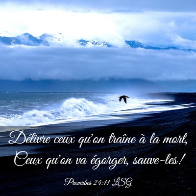 Picture 03 - Proverbes 24:11 LSG - Délivre ceux qu'on traîne à la mort, Ceux - Bible Verse Picture