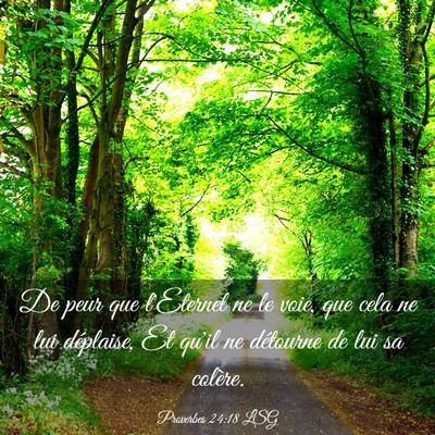 Picture 03 - Proverbes 24:18 LSG - De peur que l'Eternel ne le voie, que cela ne lui - Bible Verse Picture