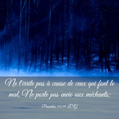 Picture 03 - Proverbes 24:19 LSG - Ne t'irrite pas à cause de ceux qui font le mal, - Bible Verse Picture