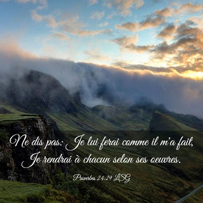 Picture 03 - Proverbes 24:29 LSG - Ne dis pas: Je lui ferai comme il m'a fait, Je - Bible Verse Picture