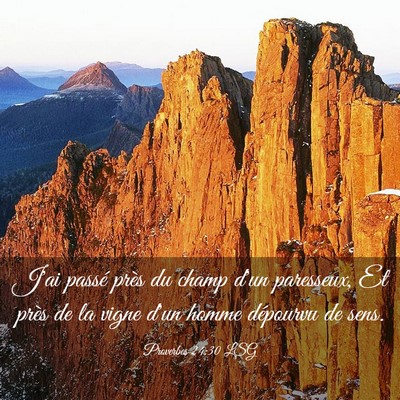 Picture 03 - Proverbes 24:30 LSG - J'ai passé près du champ d'un paresseux, Et - Bible Verse Picture