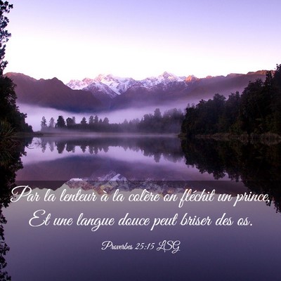 Picture 03 - Proverbes 25:15 LSG - Par la lenteur à la colère on fléchit un - Bible Verse Picture