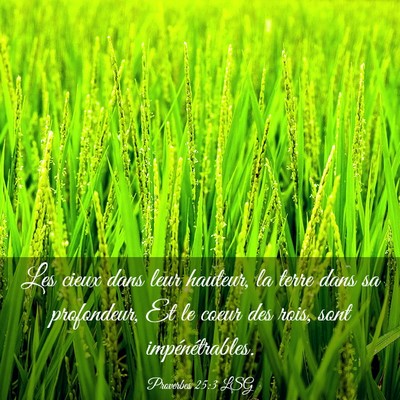 Picture 03 - Proverbes 25:3 LSG - Les cieux dans leur hauteur, la terre dans sa - Bible Verse Picture