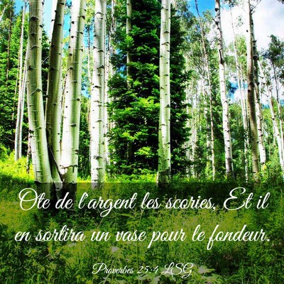 Picture 03 - Proverbes 25:4 LSG - Ote de l'argent les scories, Et il en sortira un - Bible Verse Picture