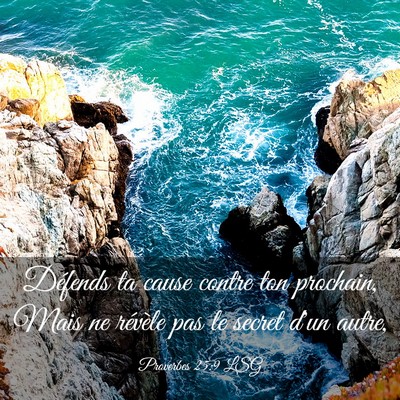 Picture 03 - Proverbes 25:9 LSG - Défends ta cause contre ton prochain, Mais ne - Bible Verse Picture