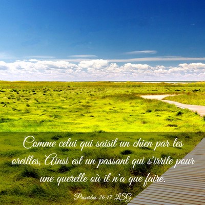 Picture 03 - Proverbes 26:17 LSG - Comme celui qui saisit un chien par les oreilles, - Bible Verse Picture