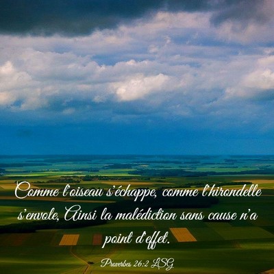Picture 03 - Proverbes 26:2 LSG - Comme l'oiseau s'échappe, comme l'hirondelle - Bible Verse Picture