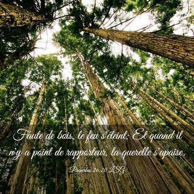 Picture 03 - Proverbes 26:20 LSG - Faute de bois, le feu s'éteint; Et quand il n'y - Bible Verse Picture