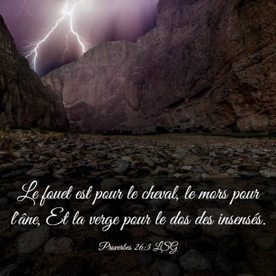 Picture 03 - Proverbes 26:3 LSG - Le fouet est pour le cheval, le mors pour l'âne, - Bible Verse Picture